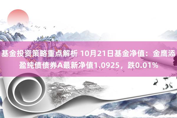 基金投资策略重点解析 10月21日基金净值：金鹰添盈纯债债券A最新净值1.0925，跌0.01%