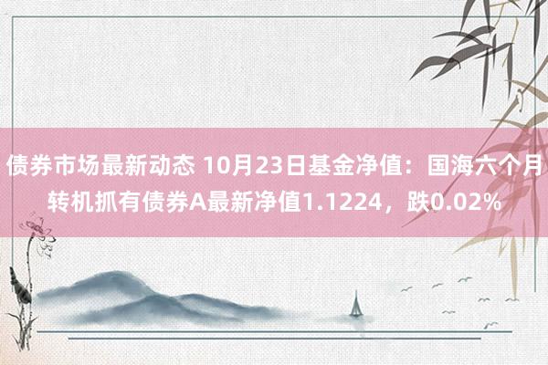 债券市场最新动态 10月23日基金净值：国海六个月转机抓有债券A最新净值1.1224，跌0.02%