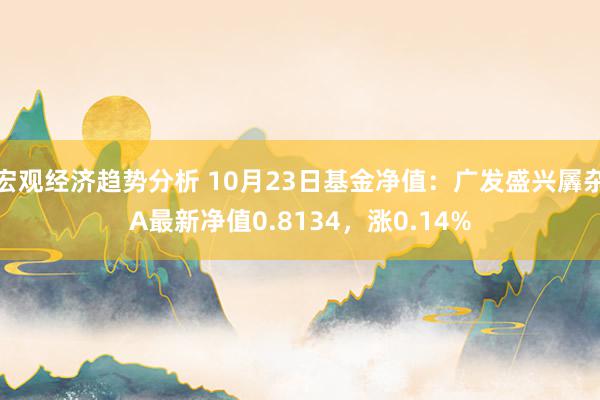 宏观经济趋势分析 10月23日基金净值：广发盛兴羼杂A最新净值0.8134，涨0.14%