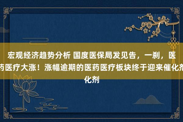 宏观经济趋势分析 国度医保局发见告，一刹，医药医疗大涨！涨幅逾期的医药医疗板块终于迎来催化剂