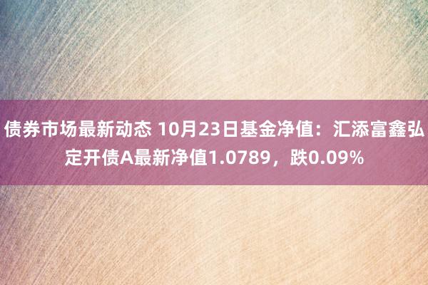 债券市场最新动态 10月23日基金净值：汇添富鑫弘定开债A最新净值1.0789，跌0.09%