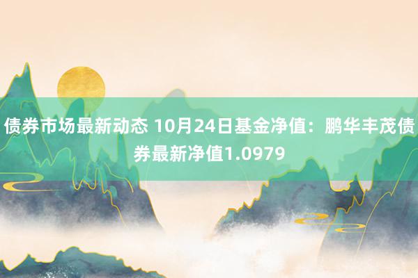 债券市场最新动态 10月24日基金净值：鹏华丰茂债券最新净值1.0979