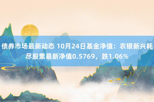 债券市场最新动态 10月24日基金净值：农银新兴耗尽股票最新净值0.5769，跌1.06%