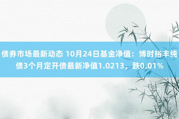 债券市场最新动态 10月24日基金净值：博时裕丰纯债3个月定开债最新净值1.0213，跌0.01%