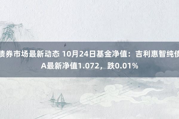 债券市场最新动态 10月24日基金净值：吉利惠智纯债A最新净值1.072，跌0.01%