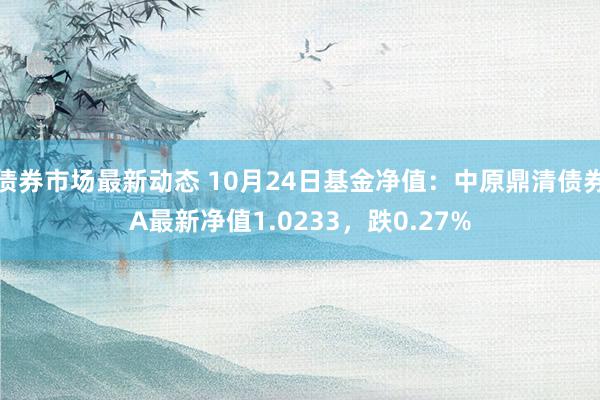 债券市场最新动态 10月24日基金净值：中原鼎清债券A最新净值1.0233，跌0.27%