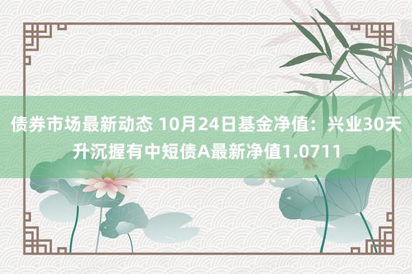 债券市场最新动态 10月24日基金净值：兴业30天升沉握有中短债A最新净值1.0711