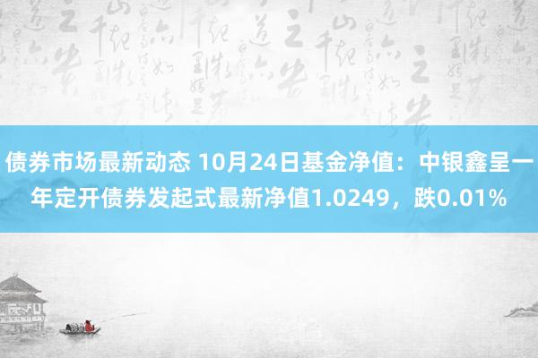 债券市场最新动态 10月24日基金净值：中银鑫呈一年定开债券发起式最新净值1.0249，跌0.01%