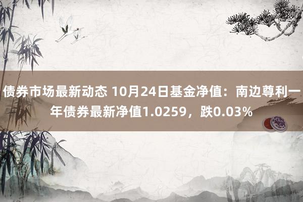 债券市场最新动态 10月24日基金净值：南边尊利一年债券最新净值1.0259，跌0.03%