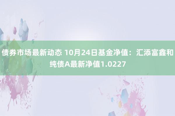 债券市场最新动态 10月24日基金净值：汇添富鑫和纯债A最新净值1.0227