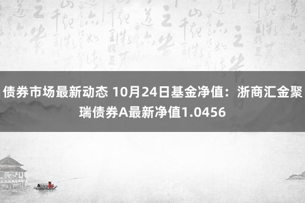 债券市场最新动态 10月24日基金净值：浙商汇金聚瑞债券A最新净值1.0456