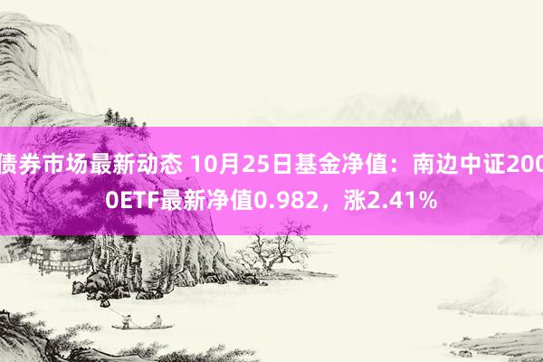 债券市场最新动态 10月25日基金净值：南边中证2000ETF最新净值0.982，涨2.41%