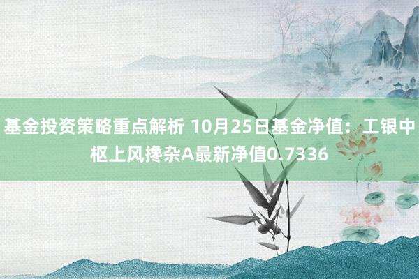 基金投资策略重点解析 10月25日基金净值：工银中枢上风搀杂A最新净值0.7336