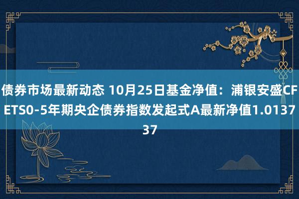 债券市场最新动态 10月25日基金净值：浦银安盛CFETS0-5年期央企债券指数发起式A最新净值1.0137