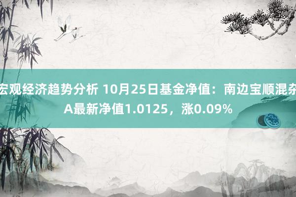 宏观经济趋势分析 10月25日基金净值：南边宝顺混杂A最新净值1.0125，涨0.09%