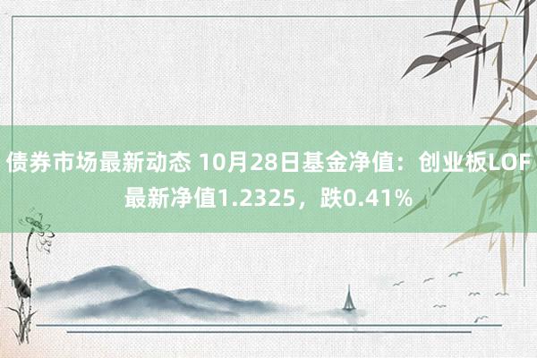 债券市场最新动态 10月28日基金净值：创业板LOF最新净值1.2325，跌0.41%