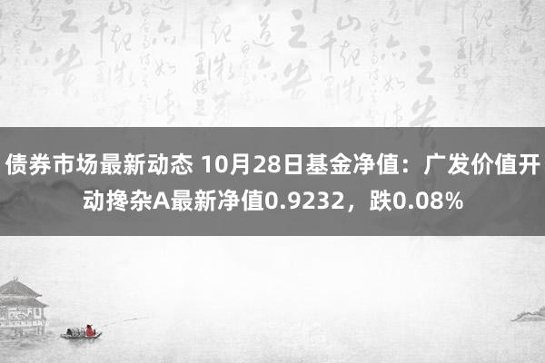 债券市场最新动态 10月28日基金净值：广发价值开动搀杂A最新净值0.9232，跌0.08%