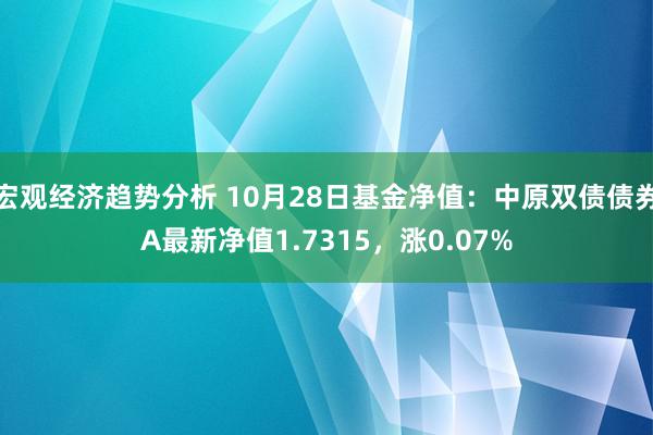 宏观经济趋势分析 10月28日基金净值：中原双债债券A最新净值1.7315，涨0.07%