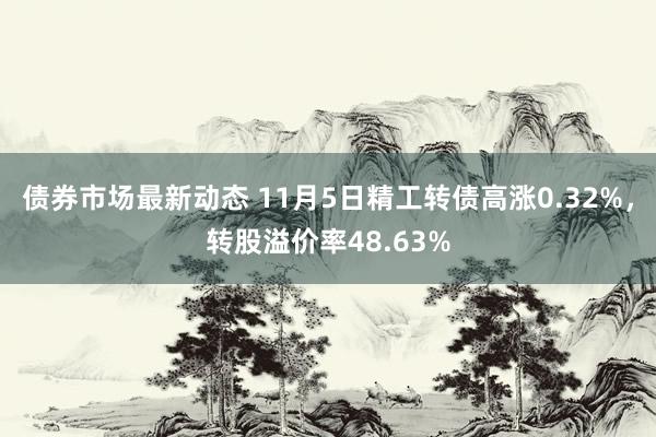 债券市场最新动态 11月5日精工转债高涨0.32%，转股溢价率48.63%