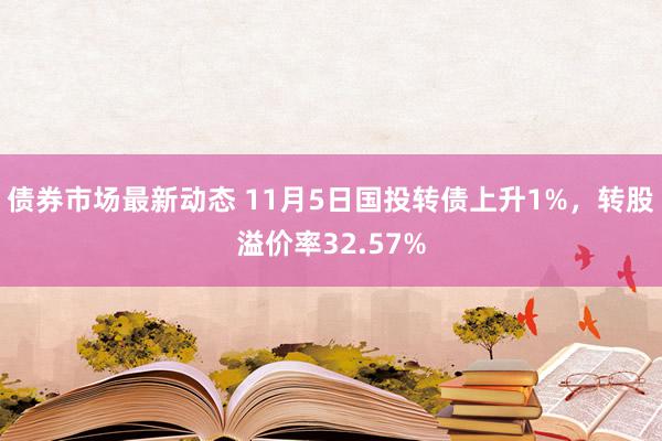 债券市场最新动态 11月5日国投转债上升1%，转股溢价率32.57%