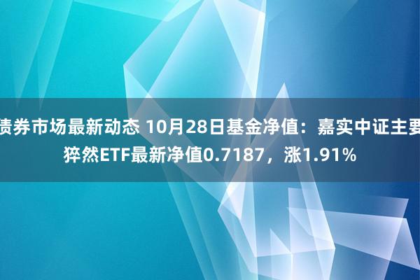 债券市场最新动态 10月28日基金净值：嘉实中证主要猝然ETF最新净值0.7187，涨1.91%