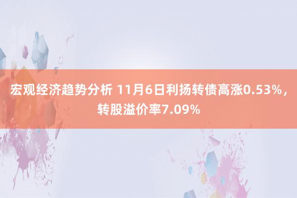 宏观经济趋势分析 11月6日利扬转债高涨0.53%，转股溢价率7.09%