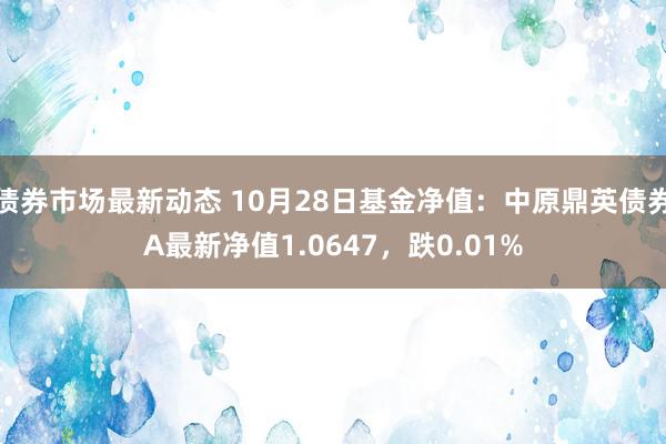 债券市场最新动态 10月28日基金净值：中原鼎英债券A最新净值1.0647，跌0.01%