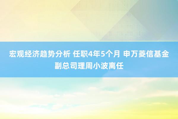 宏观经济趋势分析 任职4年5个月 申万菱信基金副总司理周小波离任