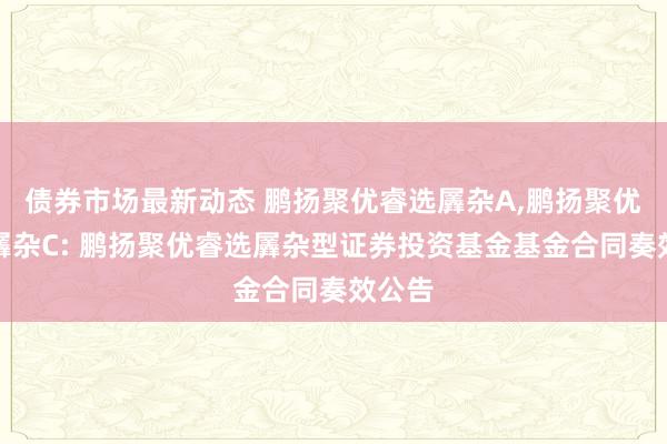 债券市场最新动态 鹏扬聚优睿选羼杂A,鹏扬聚优睿选羼杂C: 鹏扬聚优睿选羼杂型证券投资基金基金合同奏效公告