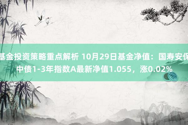 基金投资策略重点解析 10月29日基金净值：国寿安保中债1-3年指数A最新净值1.055，涨0.02%