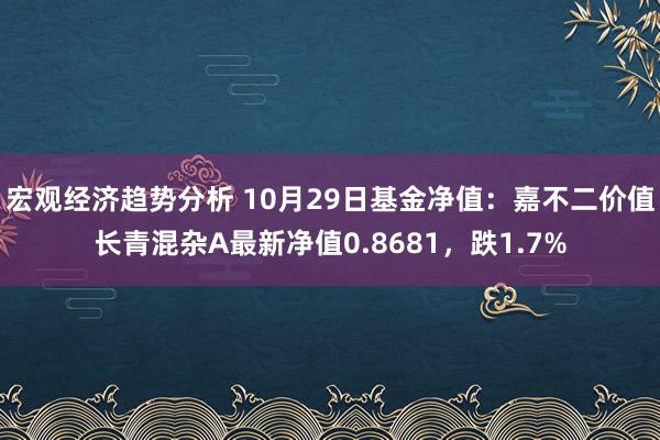 宏观经济趋势分析 10月29日基金净值：嘉不二价值长青混杂A最新净值0.8681，跌1.7%