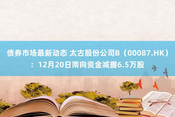 债券市场最新动态 太古股份公司B（00087.HK）：12月20日南向资金减握6.5万股