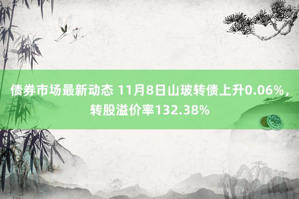 债券市场最新动态 11月8日山玻转债上升0.06%，转股溢价率132.38%