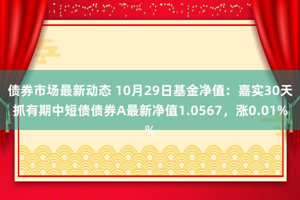 债券市场最新动态 10月29日基金净值：嘉实30天抓有期中短债债券A最新净值1.0567，涨0.01%