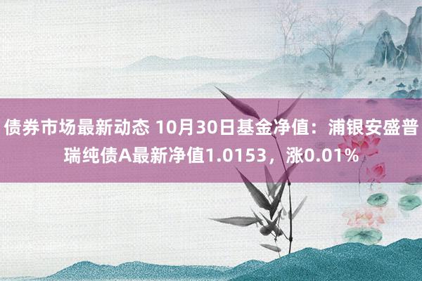 债券市场最新动态 10月30日基金净值：浦银安盛普瑞纯债A最新净值1.0153，涨0.01%