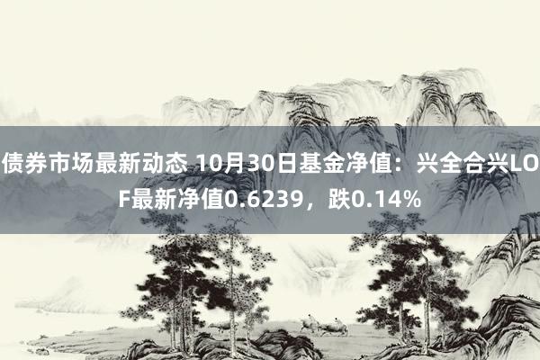 债券市场最新动态 10月30日基金净值：兴全合兴LOF最新净值0.6239，跌0.14%