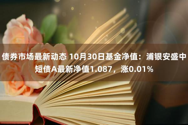 债券市场最新动态 10月30日基金净值：浦银安盛中短债A最新净值1.087，涨0.01%