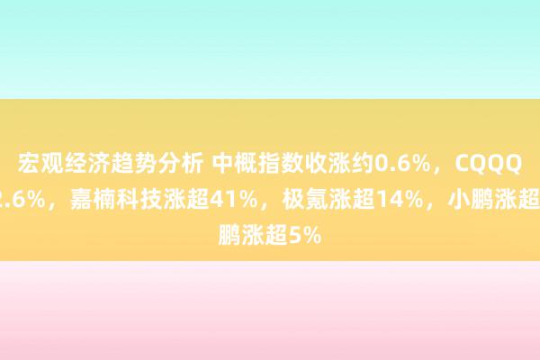 宏观经济趋势分析 中概指数收涨约0.6%，CQQQ涨2.6%，嘉楠科技涨超41%，极氪涨超14%，小鹏涨超5%