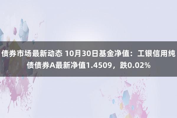 债券市场最新动态 10月30日基金净值：工银信用纯债债券A最新净值1.4509，跌0.02%