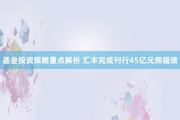 基金投资策略重点解析 汇丰完成刊行45亿元熊猫债