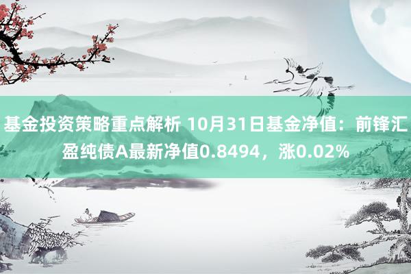 基金投资策略重点解析 10月31日基金净值：前锋汇盈纯债A最新净值0.8494，涨0.02%