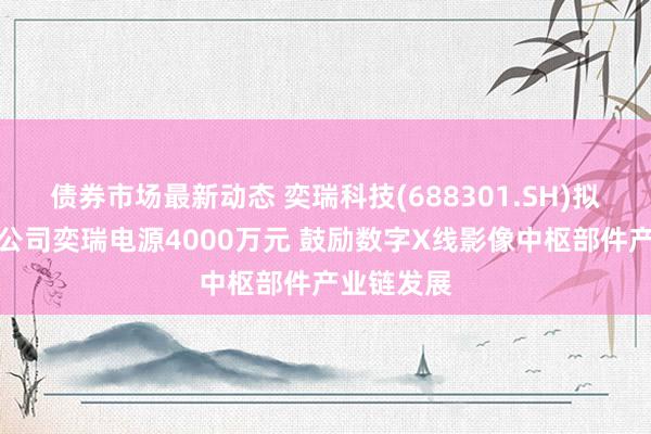 债券市场最新动态 奕瑞科技(688301.SH)拟对控股子公司奕瑞电源4000万元 鼓励数字X线影像中枢部件产业链发展