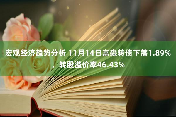 宏观经济趋势分析 11月14日富淼转债下落1.89%，转股溢价率46.43%