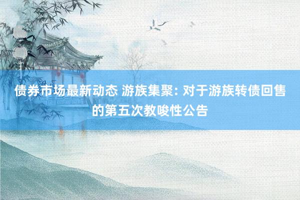 债券市场最新动态 游族集聚: 对于游族转债回售的第五次教唆性公告