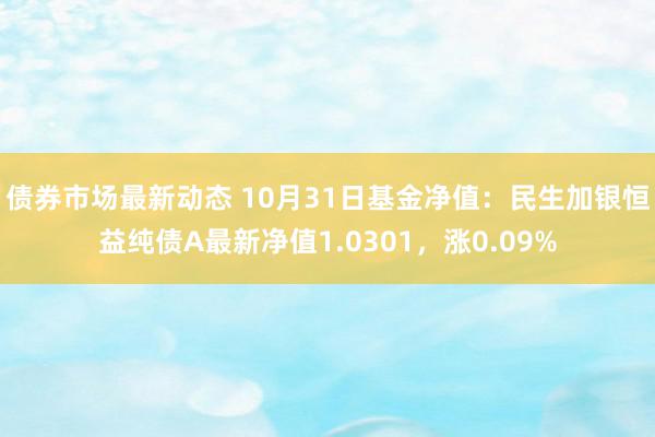 债券市场最新动态 10月31日基金净值：民生加银恒益纯债A最新净值1.0301，涨0.09%