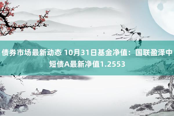 债券市场最新动态 10月31日基金净值：国联盈泽中短债A最新净值1.2553