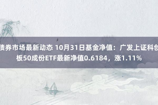 债券市场最新动态 10月31日基金净值：广发上证科创板50成份ETF最新净值0.6184，涨1.11%