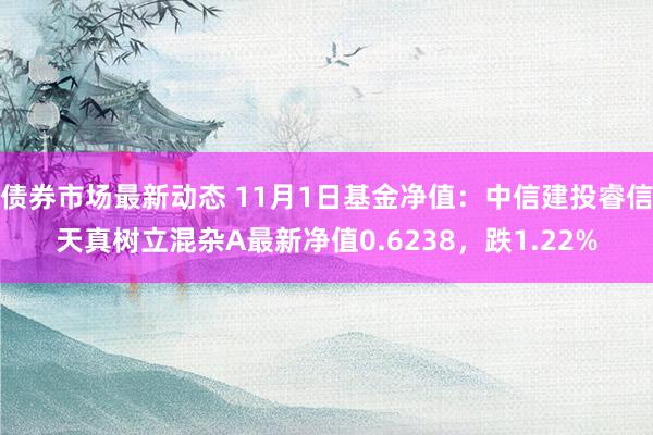 债券市场最新动态 11月1日基金净值：中信建投睿信天真树立混杂A最新净值0.6238，跌1.22%