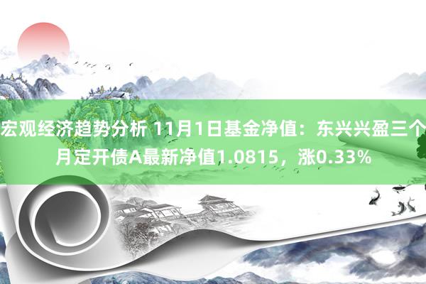 宏观经济趋势分析 11月1日基金净值：东兴兴盈三个月定开债A最新净值1.0815，涨0.33%