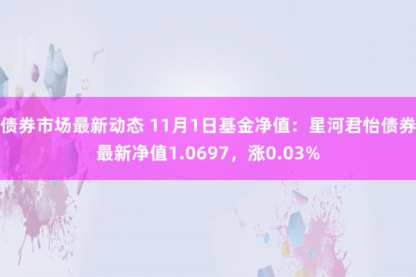 债券市场最新动态 11月1日基金净值：星河君怡债券最新净值1.0697，涨0.03%